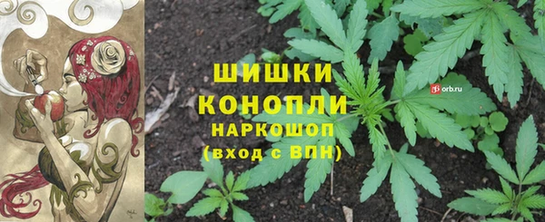 PSILOCYBIN Алексеевка