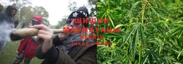 PSILOCYBIN Алексеевка