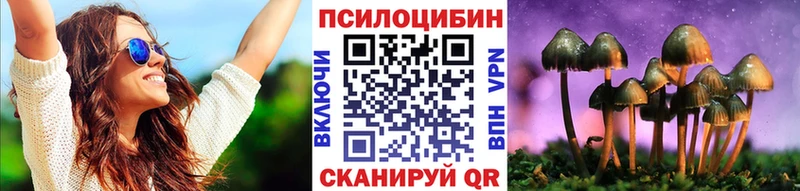где продают наркотики  Севастополь  Галлюциногенные грибы GOLDEN TEACHER 